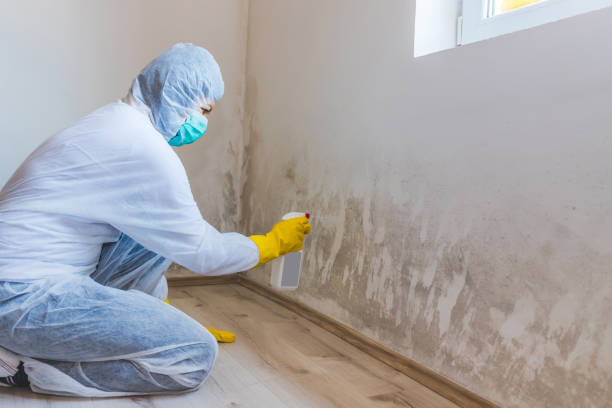 Crawl Space Mold Remediation treatment of floor joists in Forest Hill