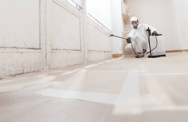 Black mold remediation team in Forest Hill